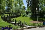 زندگی در جوار پارک ها ریسک مبتلا شدن به آسم را کم کردن می دهد